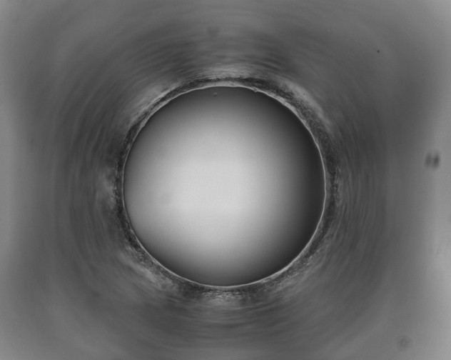 X0000090701217200707271101