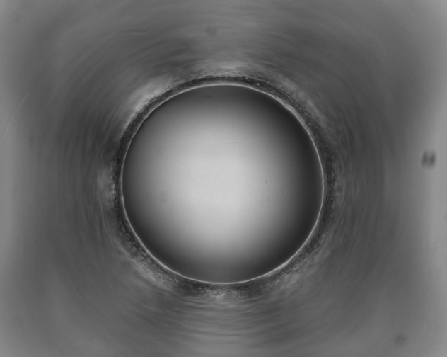 X0000090701218200707271101