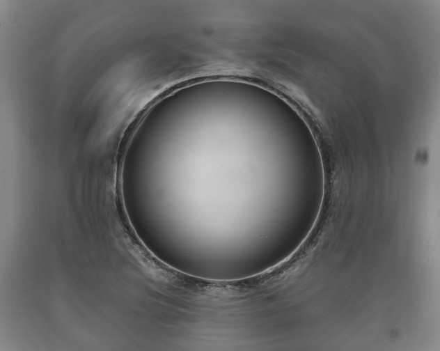 X0000090701220200707271101