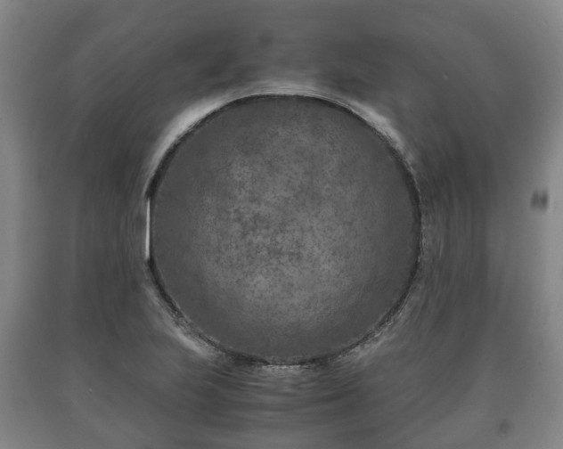 X0000090701223200707271101