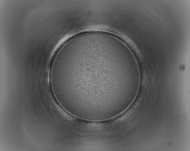 X0000090701224200707271101