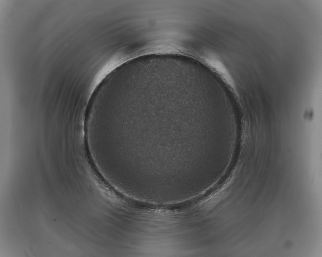 X0000090701226200707271101