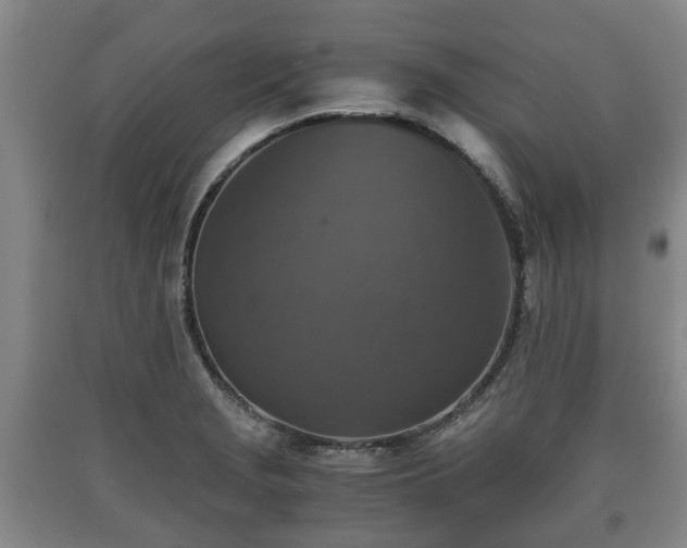 X0000090701229200707271101