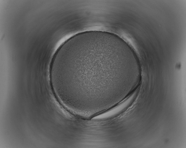 X0000090701230200707271101