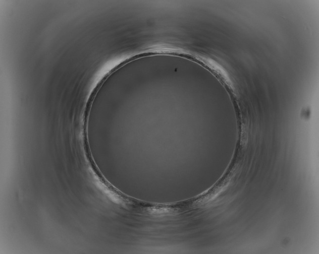 X0000090701231200707271101