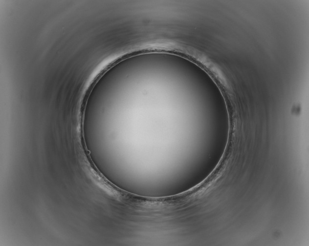 X0000090701232200707271101