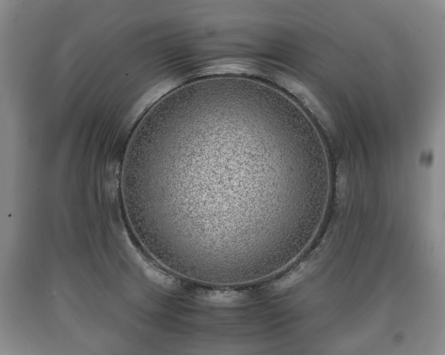 X0000090701233200707271101