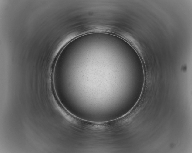 X0000090701235200707271101