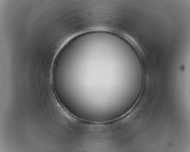 X0000090701236200707271101