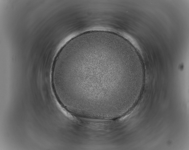 X0000090701237200707271101