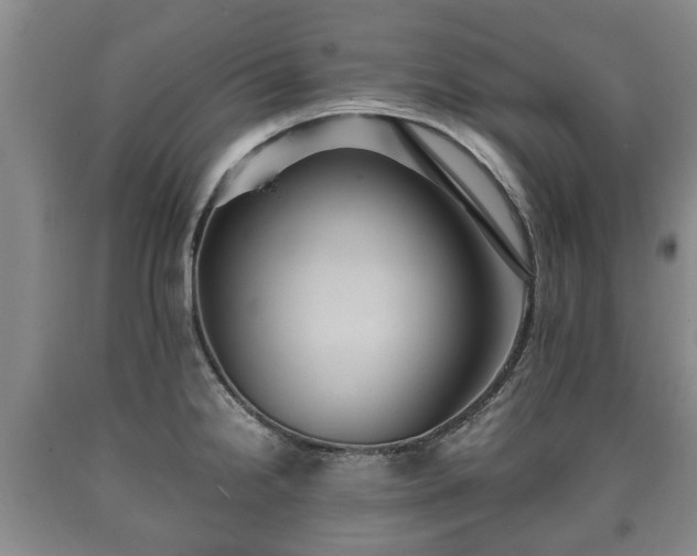 X0000090701238200707271101