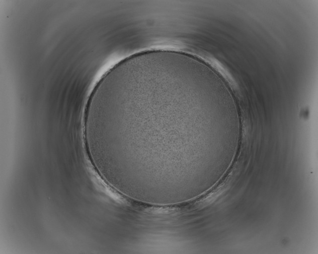 X0000090701240200707271101