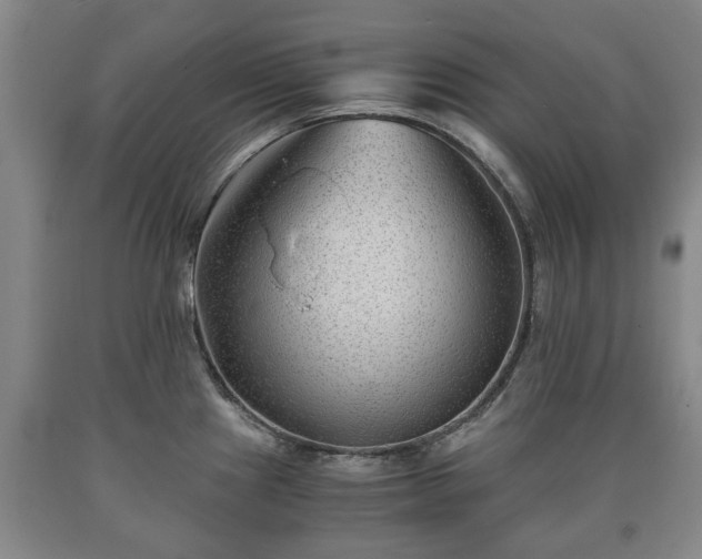 X0000090701241200707271101