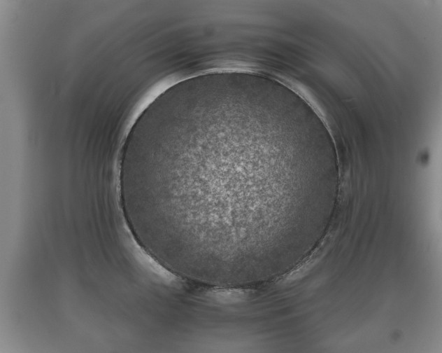 X0000090701243200707271101