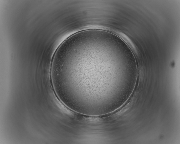 X0000090701244200707271101