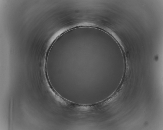 X0000090701245200707271101