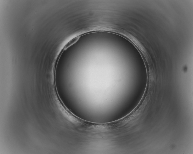 X0000090701246200707271101