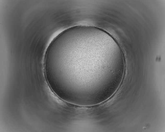 X0000090701248200707271101