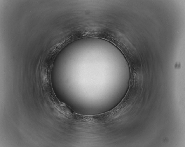 X0000090701250200707271101