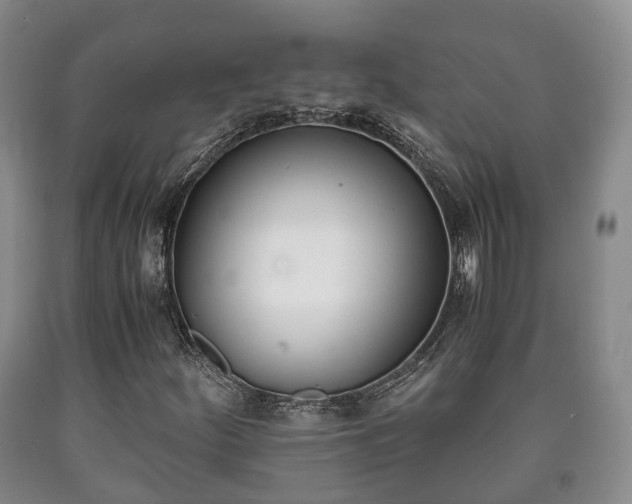 X0000090701252200707271101