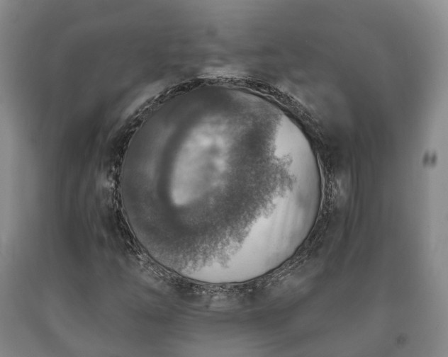 X0000090701254200707271101