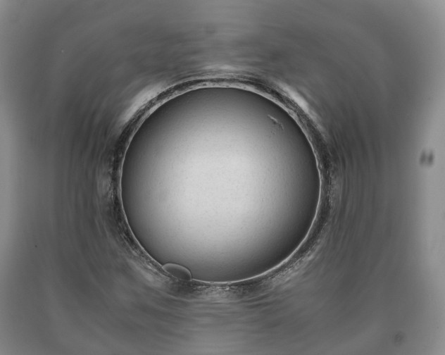 X0000090701259200707271101