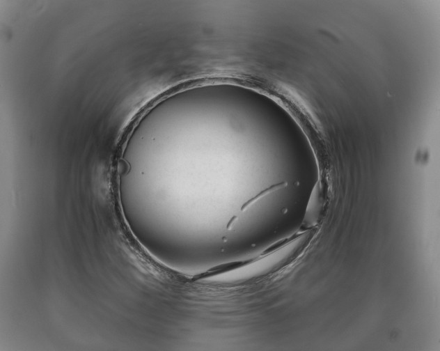 X0000090701260200707271101