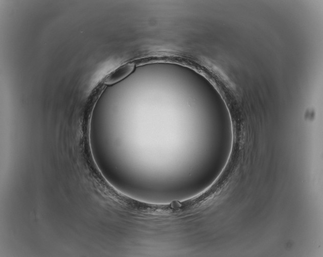 X0000090701261200707271101