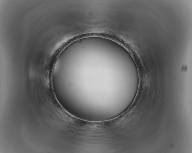 X0000090701262200707271101