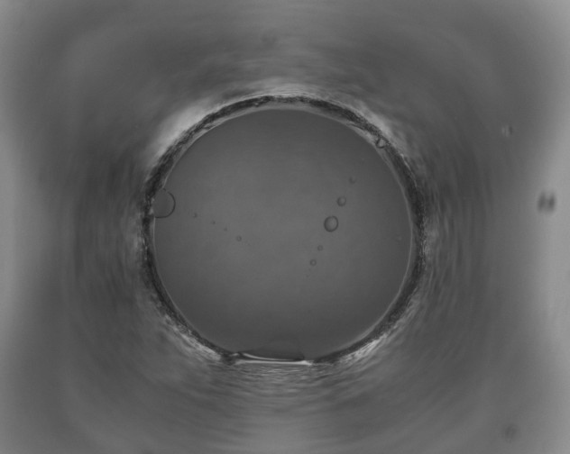 X0000090701263200707271101