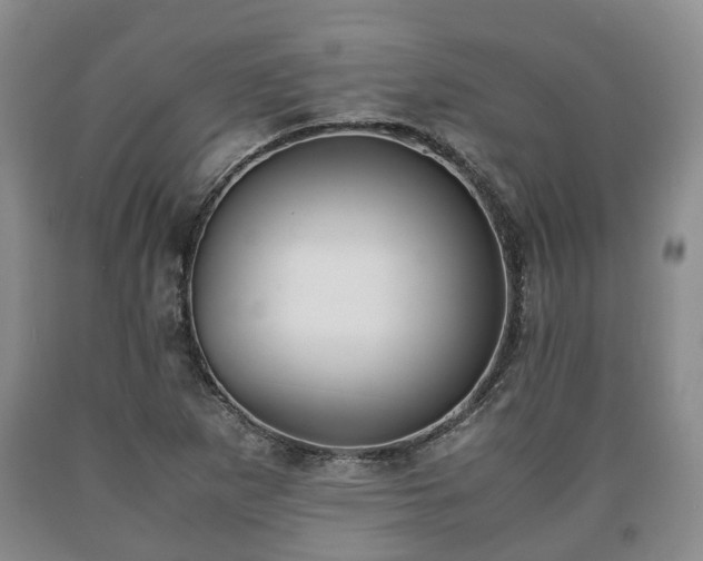 X0000090701265200707271101