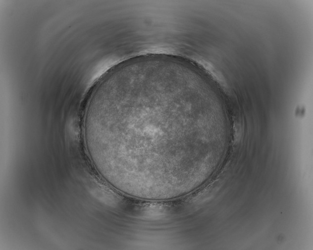 X0000090701266200707271101