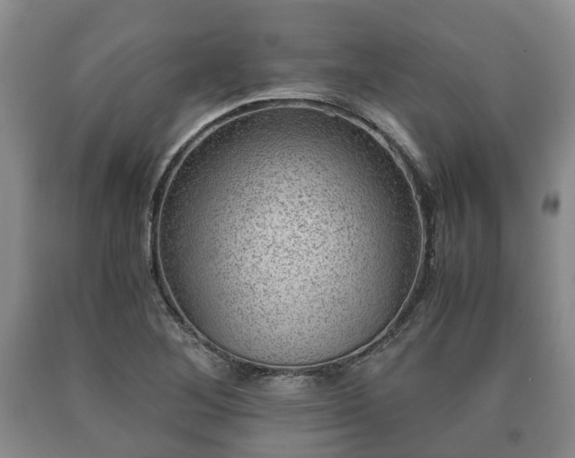 X0000090701268200707271101