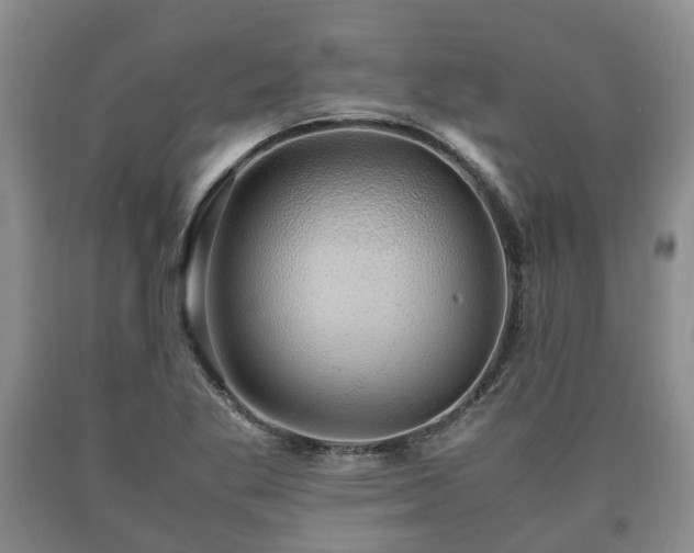 X0000090701269200707271101