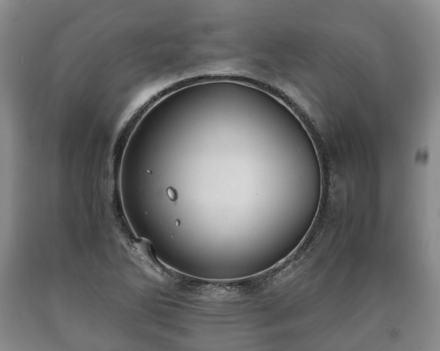 X0000090701270200707271101