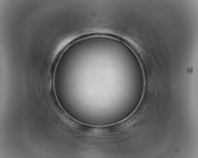 X0000090701271200707271101