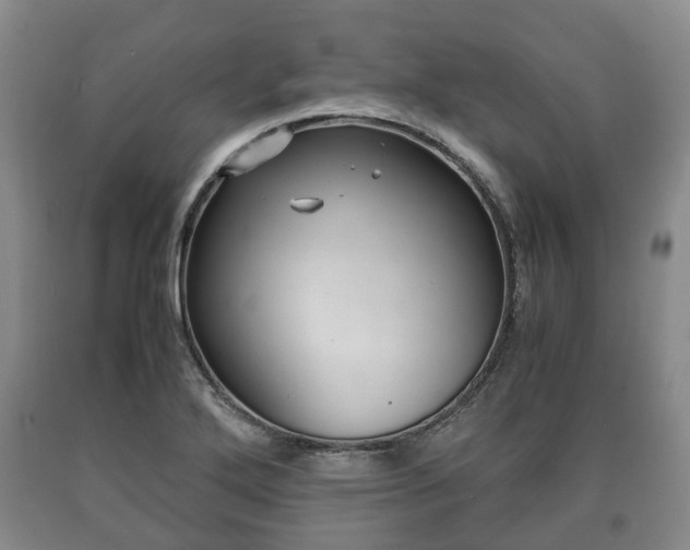 X0000090701272200707271101