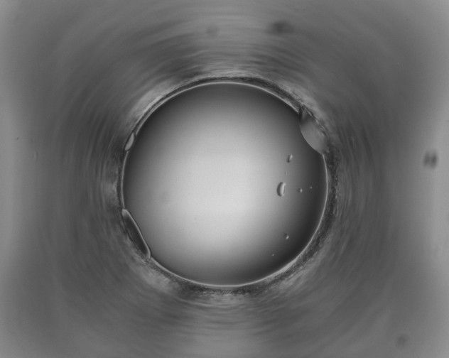 X0000090701273200707271101