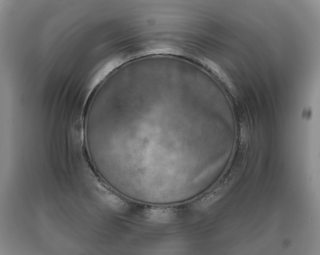 X0000090701274200707271101