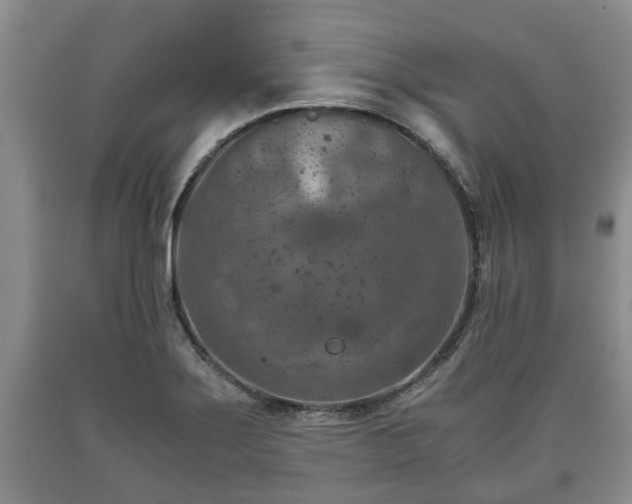 X0000090701275200707271101