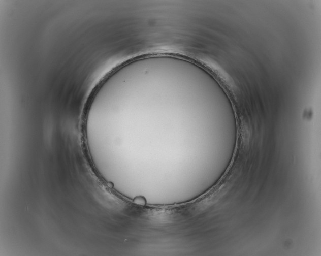 X0000090701278200707271100