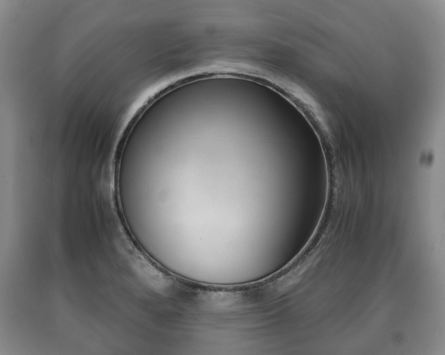 X0000090701280200707271100