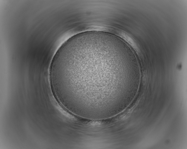 X0000090701283200707271100