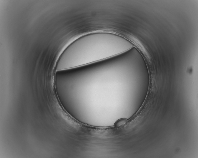 X0000090701284200707271100