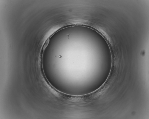 X0000090701285200707271100