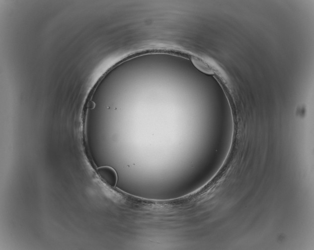 X0000090701287200707271100