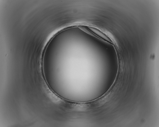 X0000090701288200707271100