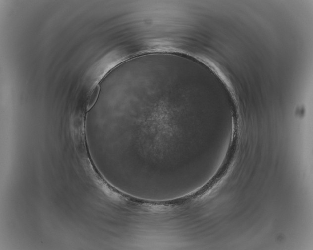 X0000090701289200707271100