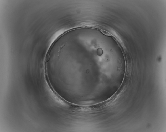 X0000090701291200707271100