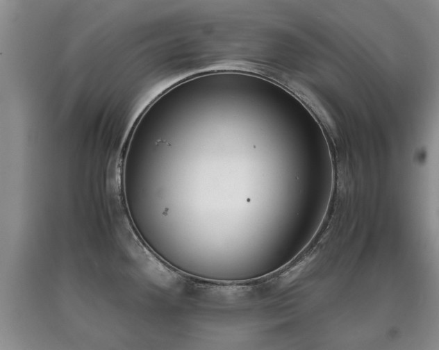 X0000090701292200707271100